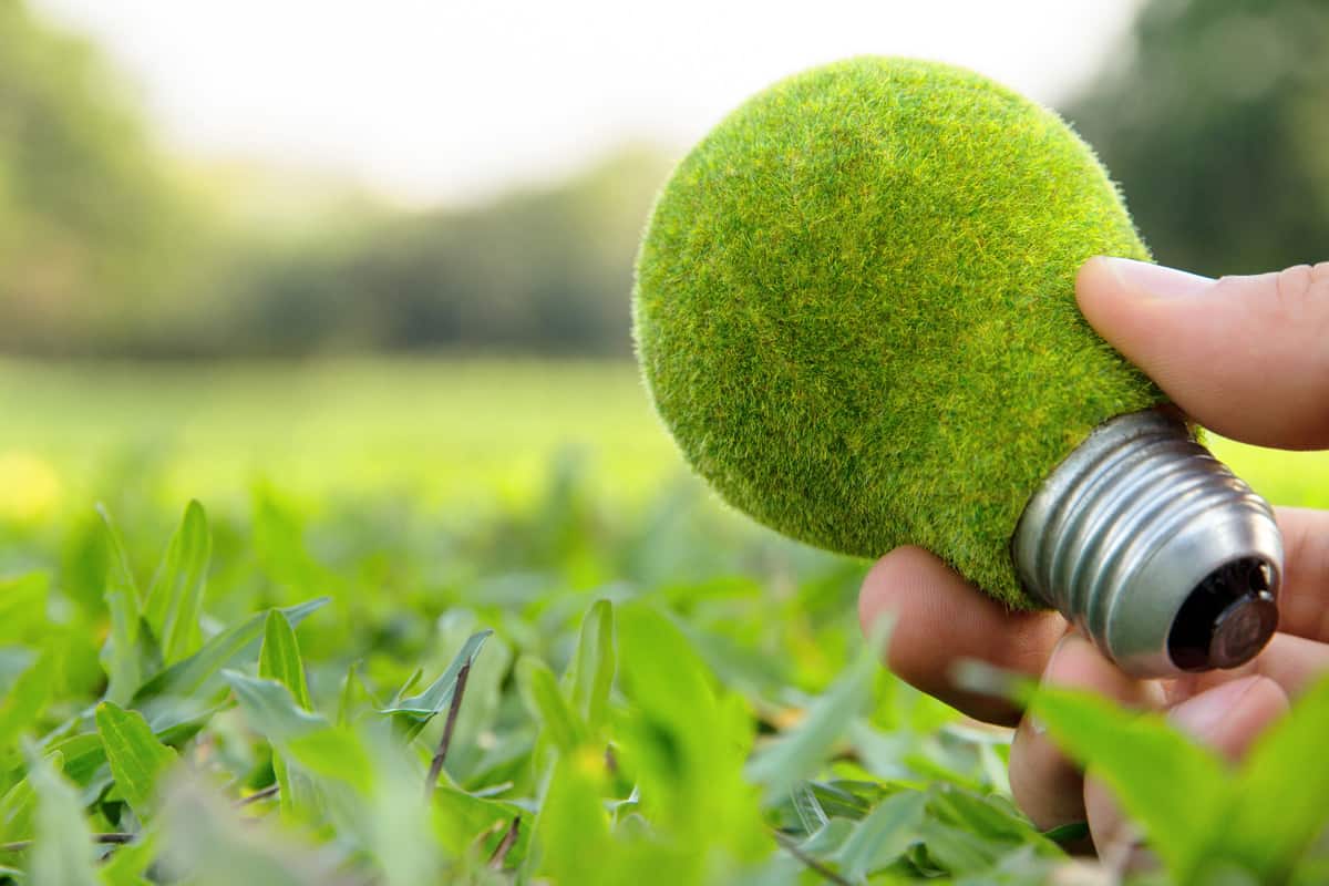 d&eacute;couvrez comment int&eacute;grer des &eacute;nergies vertes chez vous pour un habitat &eacute;co-responsable et durable. apprenez les meilleures solutions pour r&eacute;duire votre empreinte carbone et profiter des bienfaits des &eacute;nergies renouvelables au quotidien.